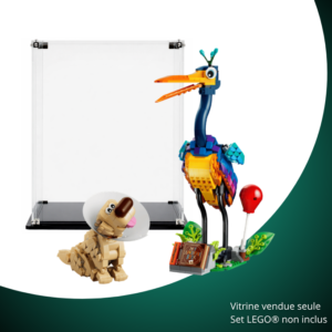 Vitrine pour LEGO® Disney™ Kevin et Doug #43290