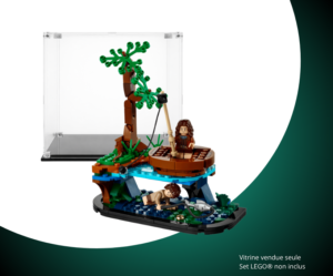 Vitrine LEGO Vitrine pour LEGO Icons Le Seigneur 40761