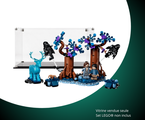 Vitrine LEGO La Forêt interdite : Expecto Patronum 76475