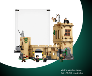 Vitrine pour LEGO® Harry Potter™ Le château de Poudlard: les cours de vol #76447 — Visuel principal Vitrine LEGO Cours de vol à Poudlard 76447