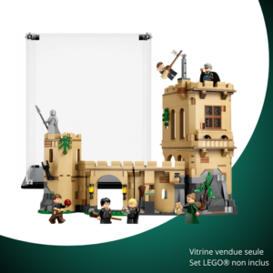 Vitrine pour LEGO® Harry Potter™ Le château de Poudlard : les cours de vol #76447