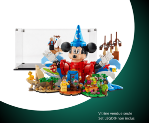 Vitrine pour LEGO Ideas La magie Disney 21352