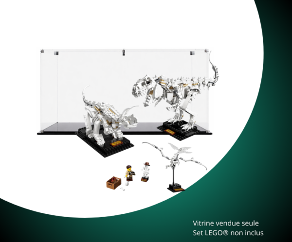 Vitrine pour LEGO Ideas Les fossiles de dinosaures 21320