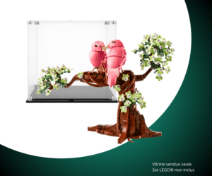 Vitrine LEGO Les oiseaux amoureux 21365