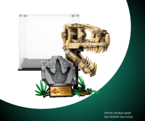 Vitrine pour LEGO® Jurassic World Les fossiles de dinosaures: le crâne du T. rex #76964 — Visuel principal Vitrine LEGO Crâne du T. rex 76964